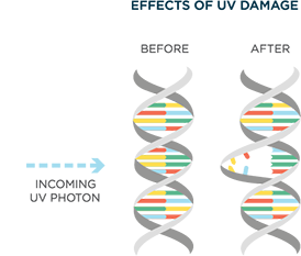 ewt-uv-dna-graphic